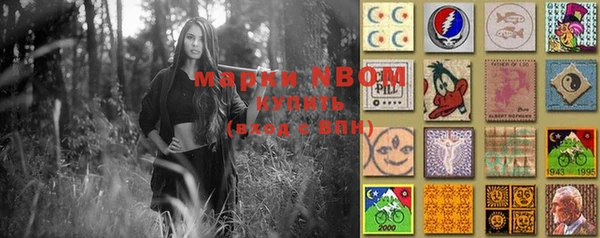 ПСИЛОЦИБИНОВЫЕ ГРИБЫ Белокуриха