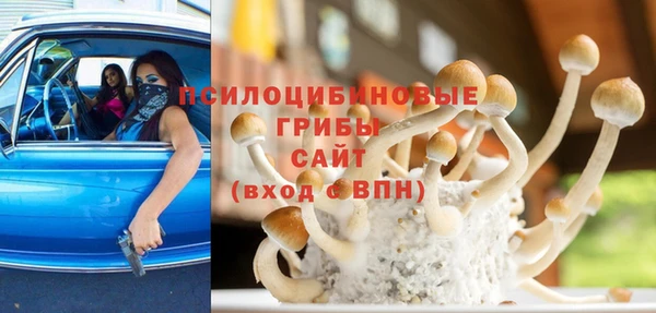 мдпв Бугульма