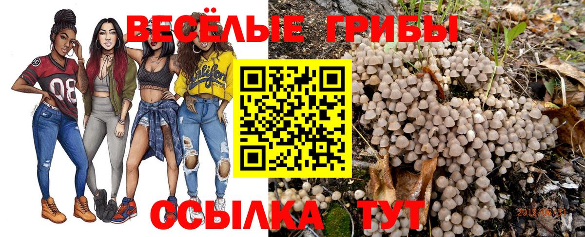 Галлюциногенные грибы Magic Shrooms  Галлюциногенные грибы Psilocybine cubensis  Вход с VPN  Северск 