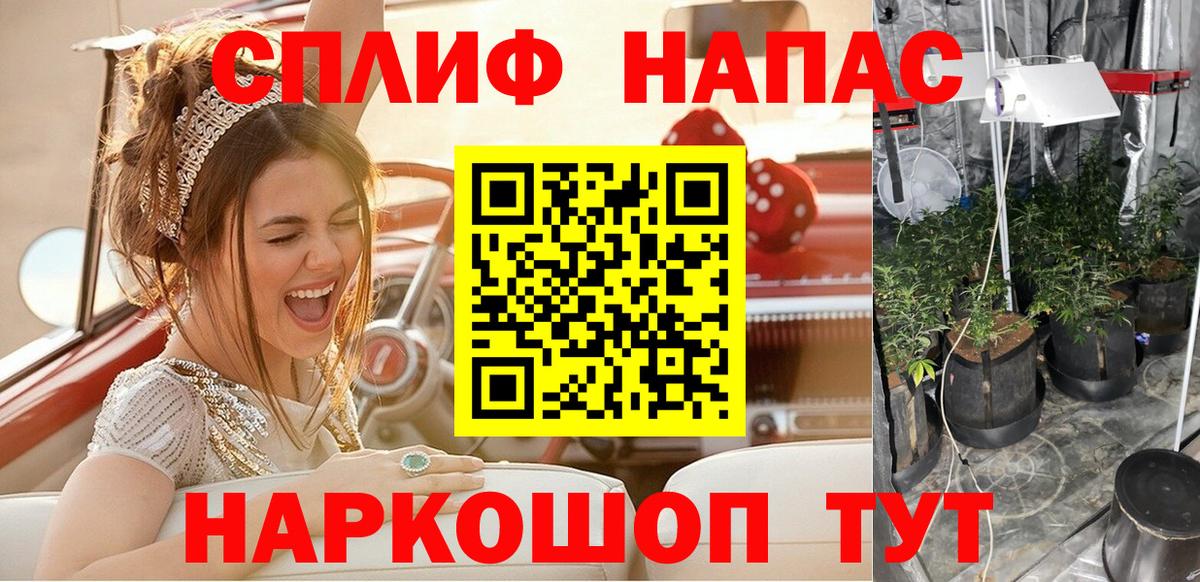 Северск  Бошки Шишки ГИДРОПОН  Канабис семена  Вход с VPN 